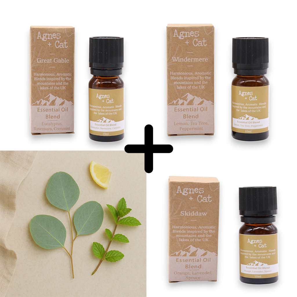 Agnes & Cat Breathe Easy Essential Oil Set 3x10ml