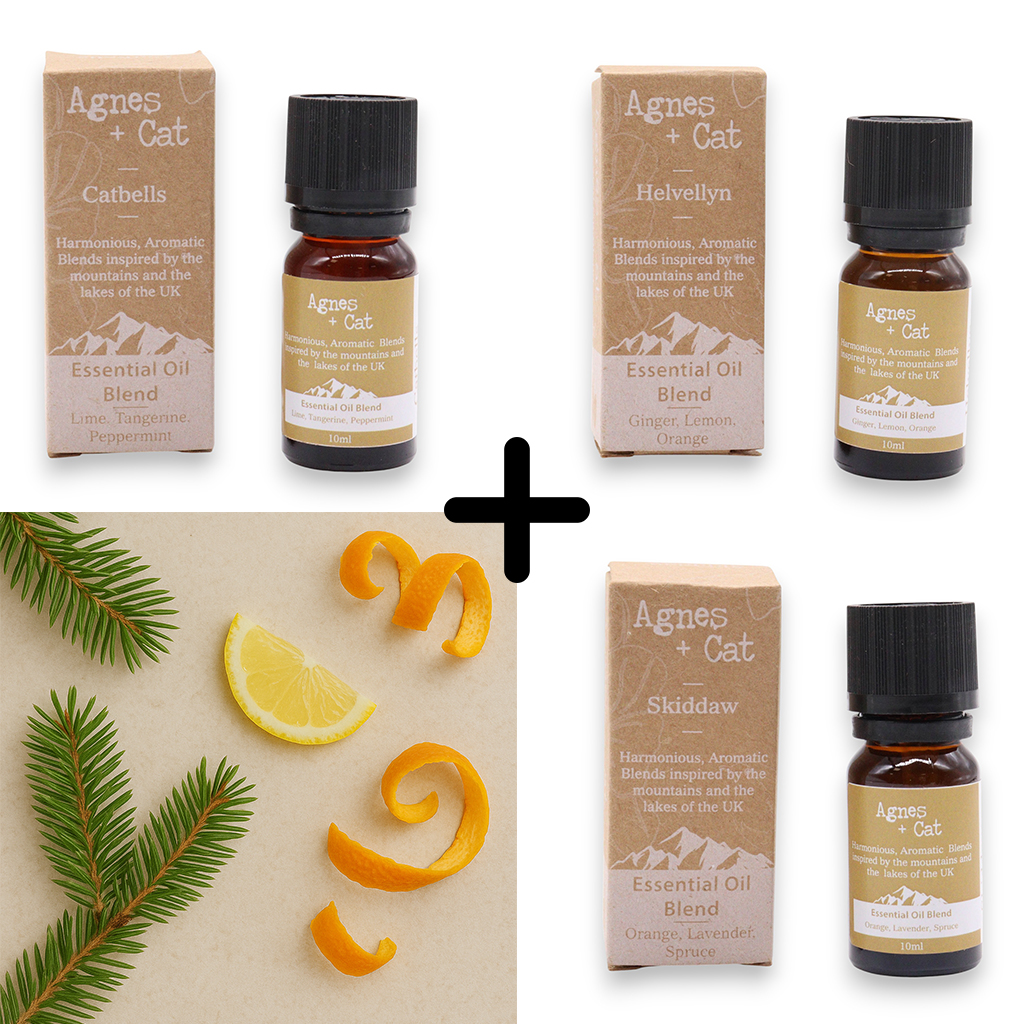 Agnes & Cat Citrus Uplift Essential Oil Blends Set