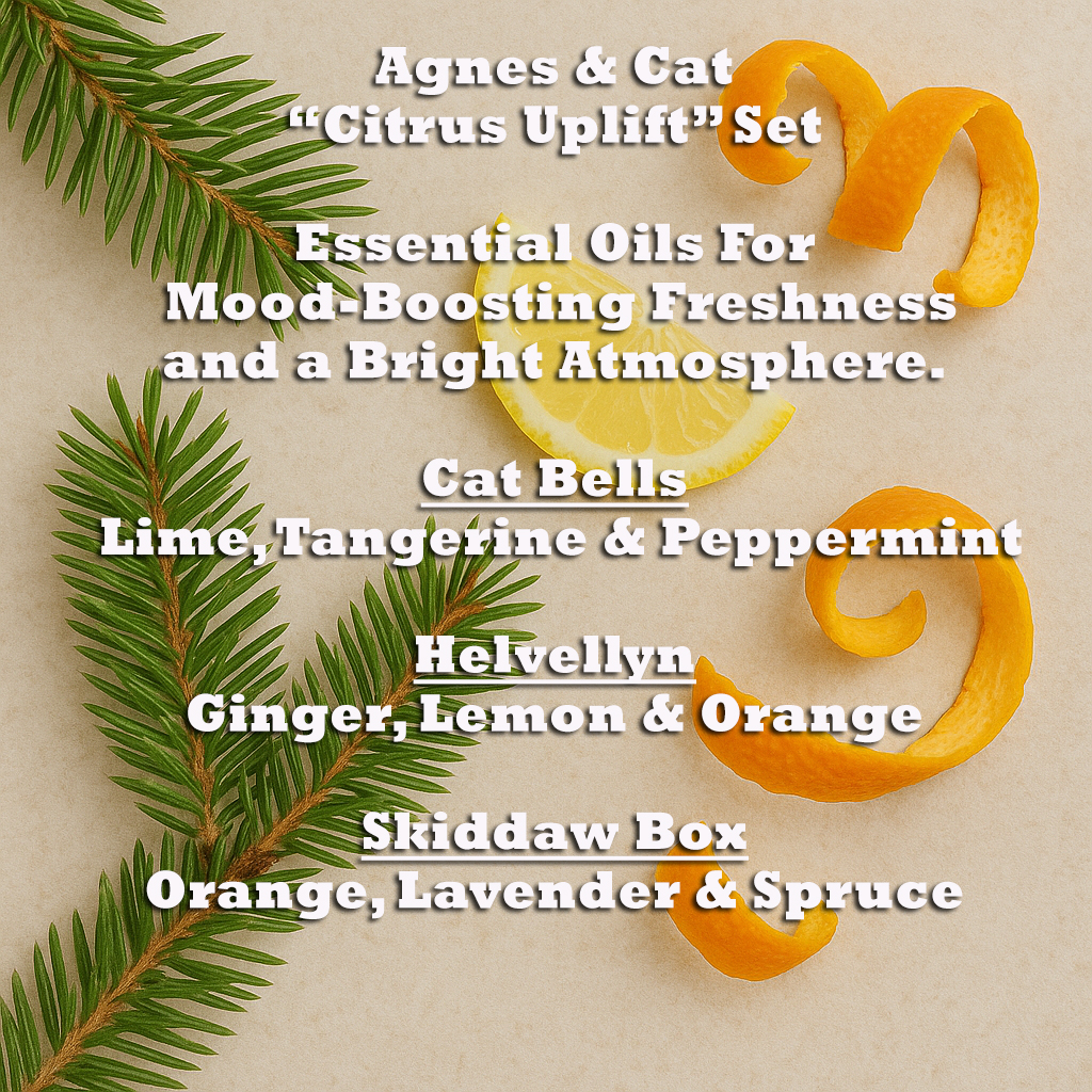 Agnes & Cat Citrus Uplift Essential Oil Blends Set