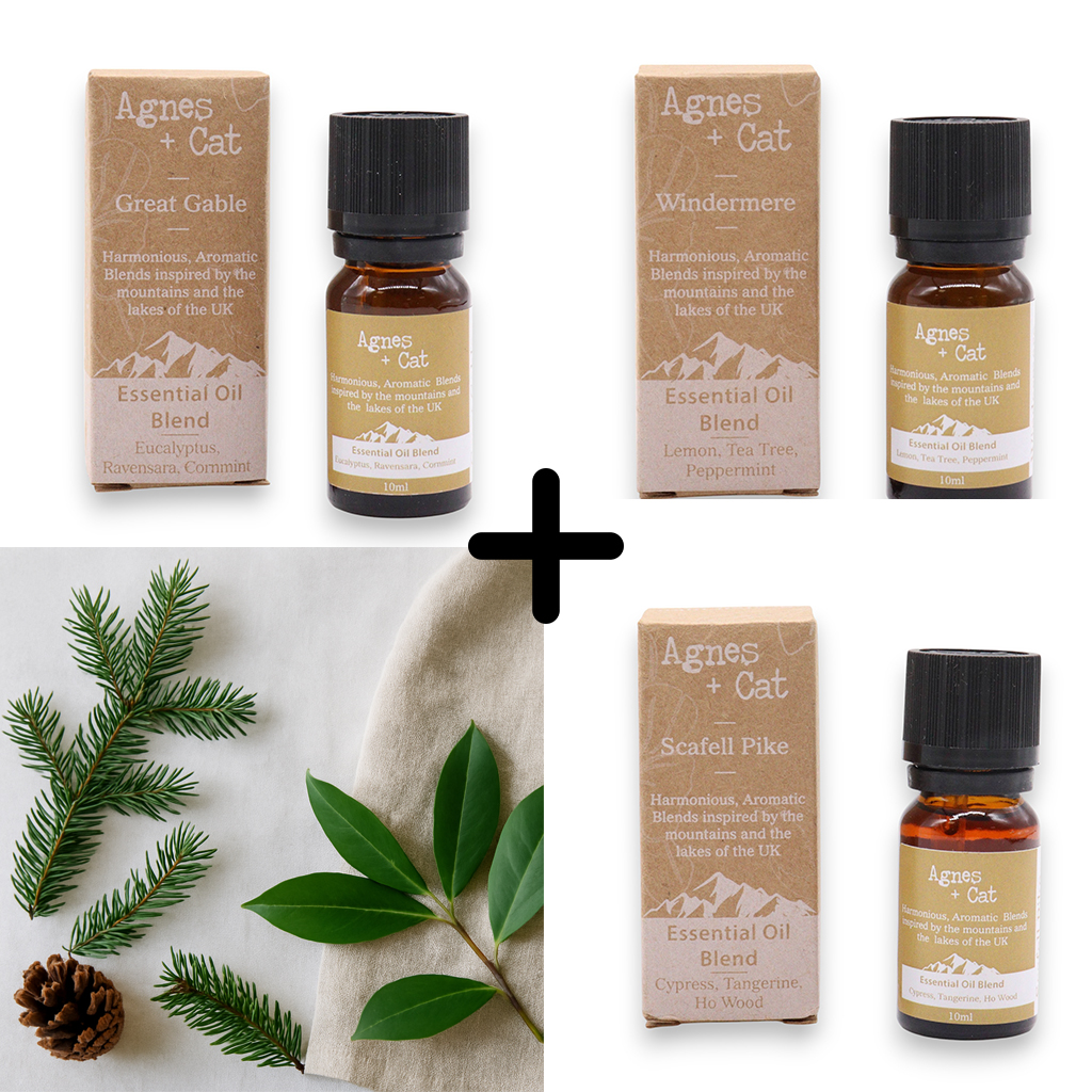 Agnes & Cat Forest Retreat Essential Oil Blends Set 3x10ml