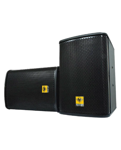 PASSIVE KARAOKE SPEAKER KEVLER KR-312
