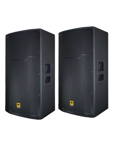 ACTIVE SPEAKER PRX-815D