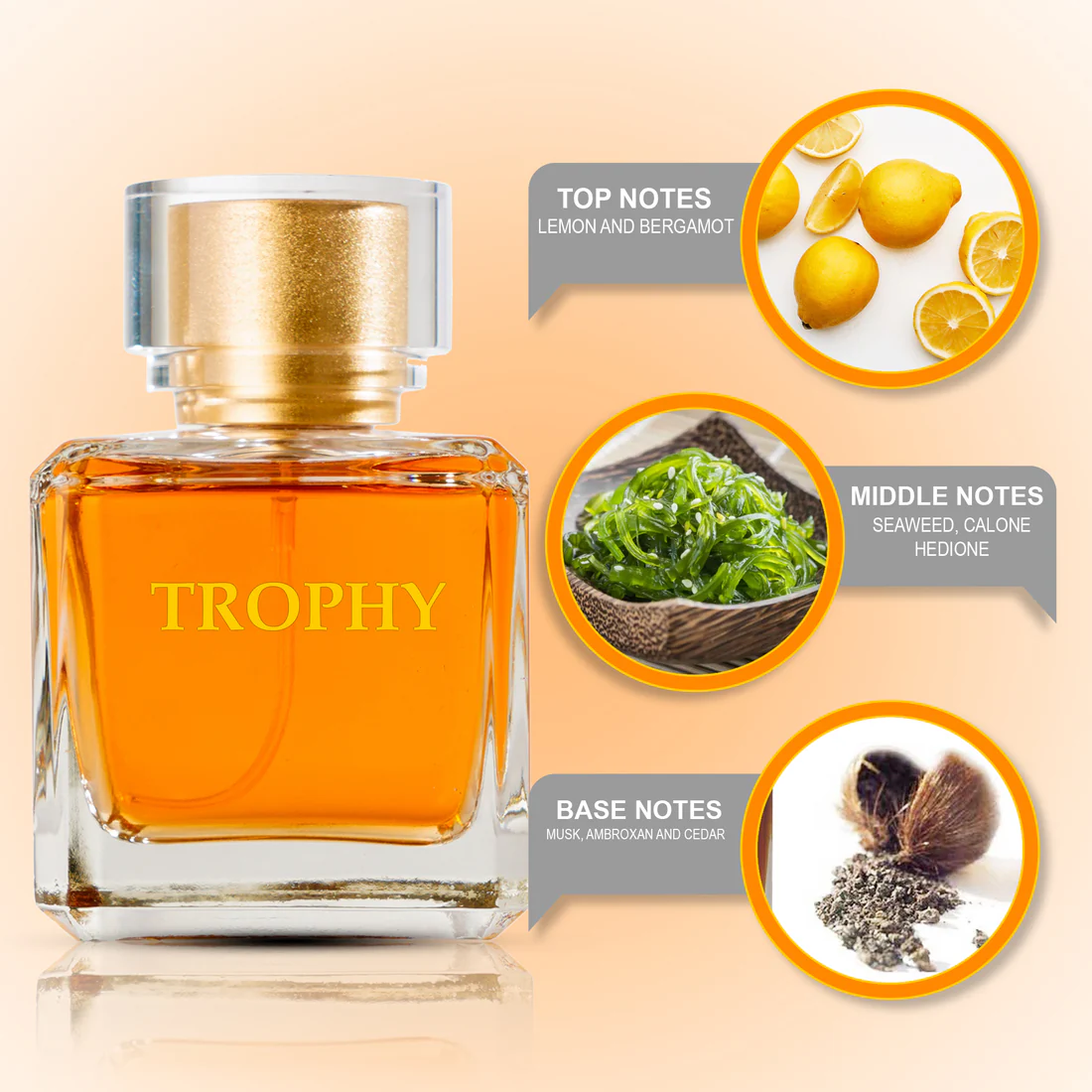 Trohpy Premium EDP