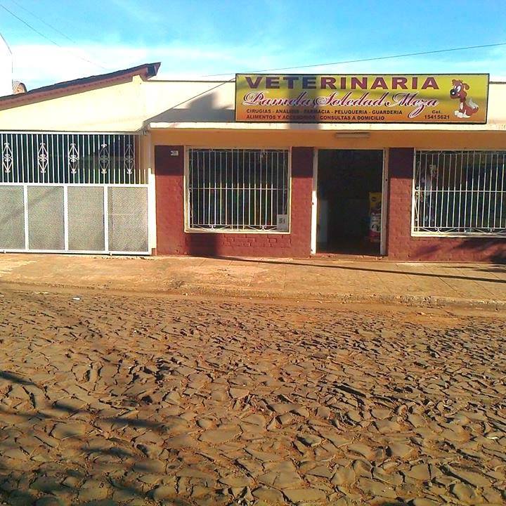 Veterinaria Yaguacito