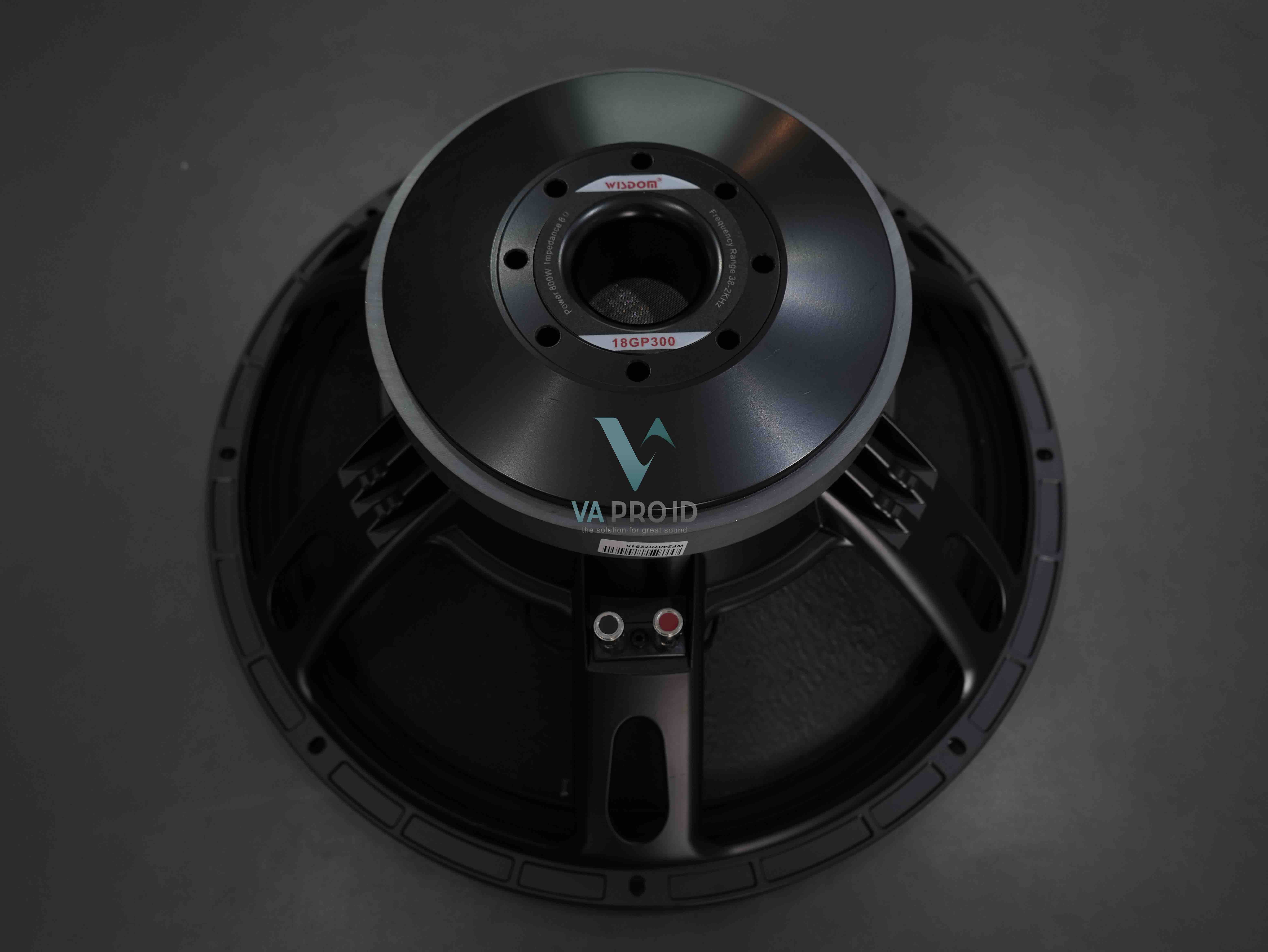 Speaker transduser Wisdom 18 gp300