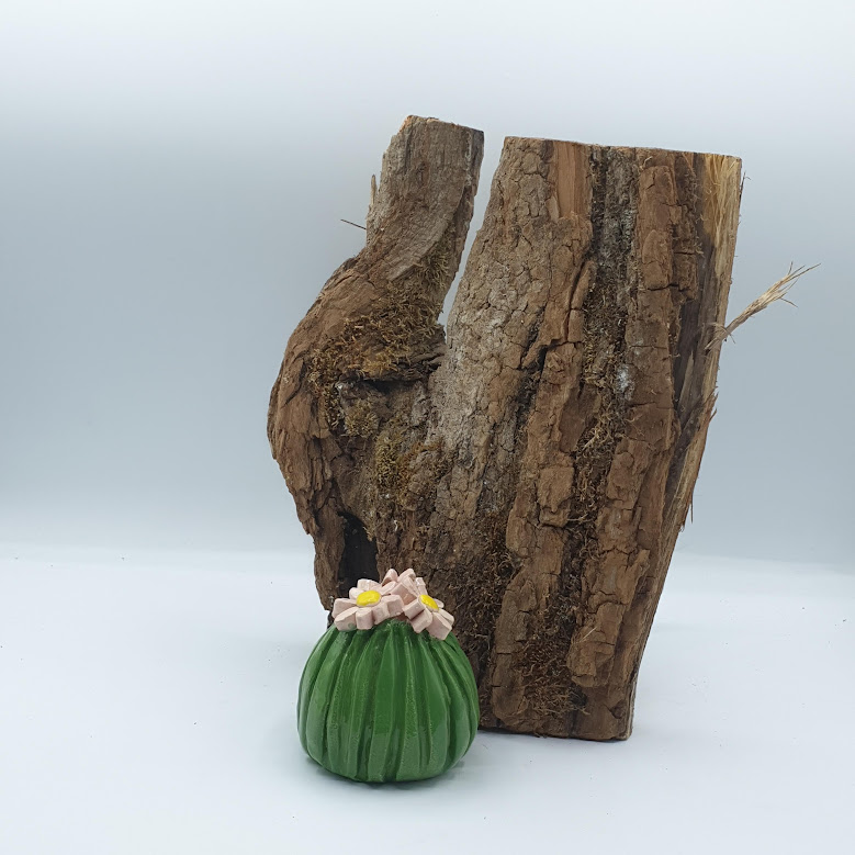 Cactus en fleurs vert n.1