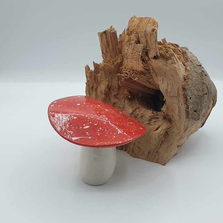 Champignon de jardin AMANITA