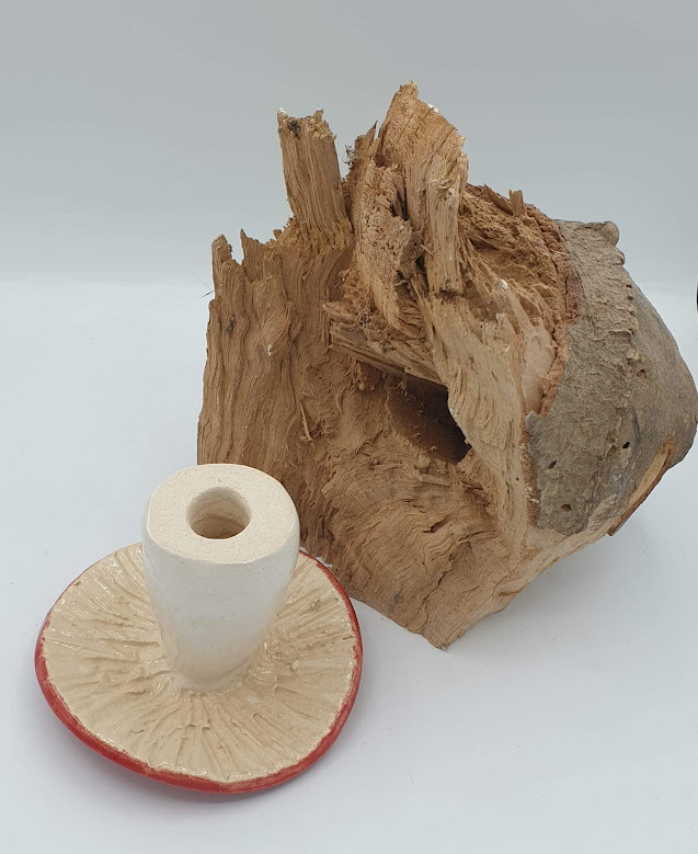 Champignon de jardin AMANITA