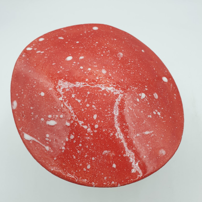 Champignon de jardin AMANITA