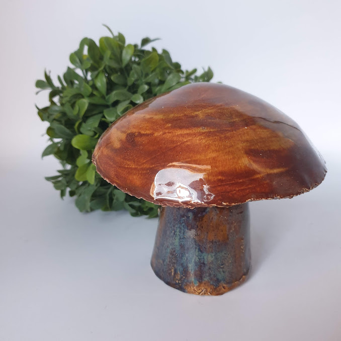 Champignon de jardin le BOLET
