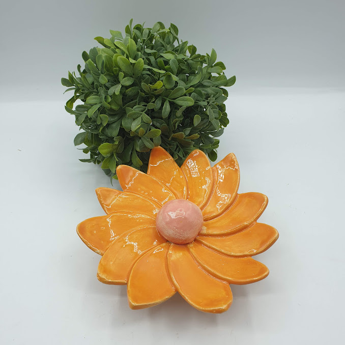 Fleur de jardin 