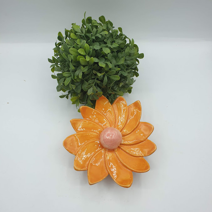 Fleur de jardin 
