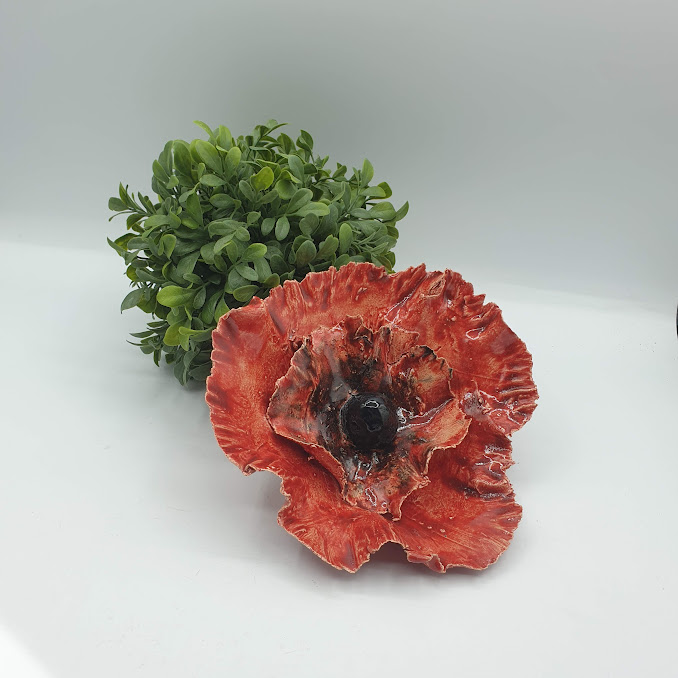 Fleur de jardin COQUELICOT