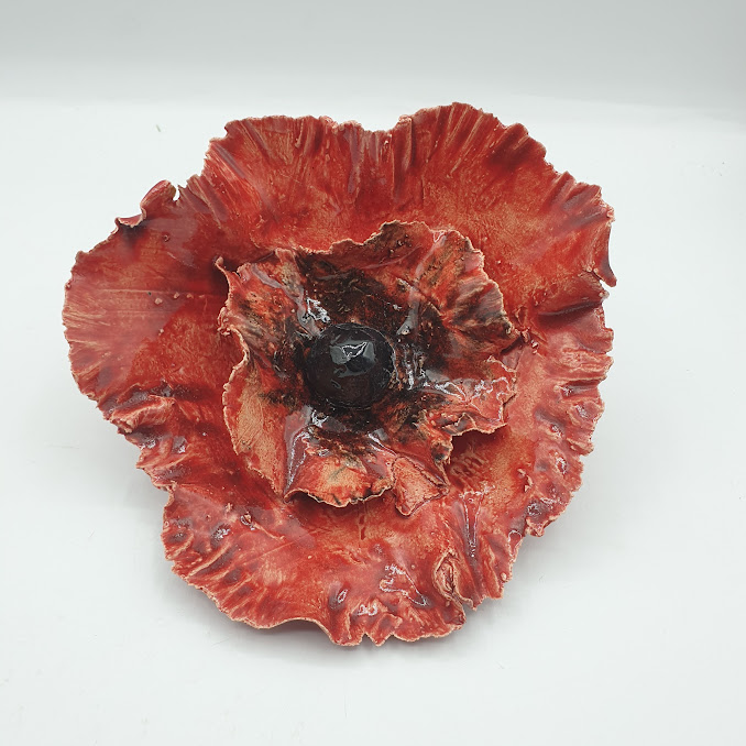 Fleur de jardin COQUELICOT