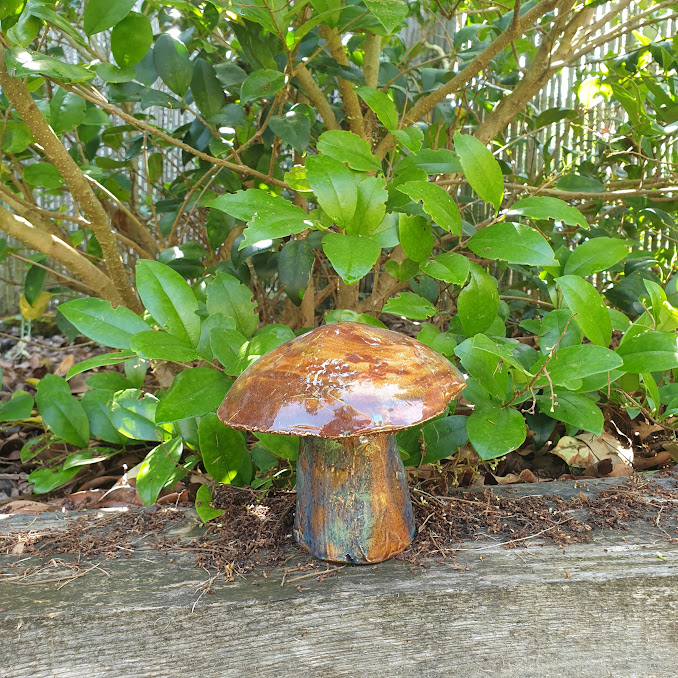 Champignon de jardin le BOLET