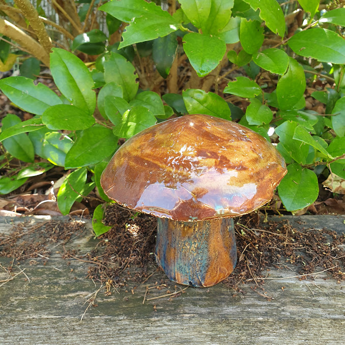 Champignon de jardin le BOLET