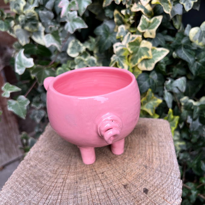 Tasse PIGGY LA COCHONNE