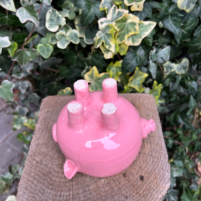 Tasse PIGGY LA COCHONNE