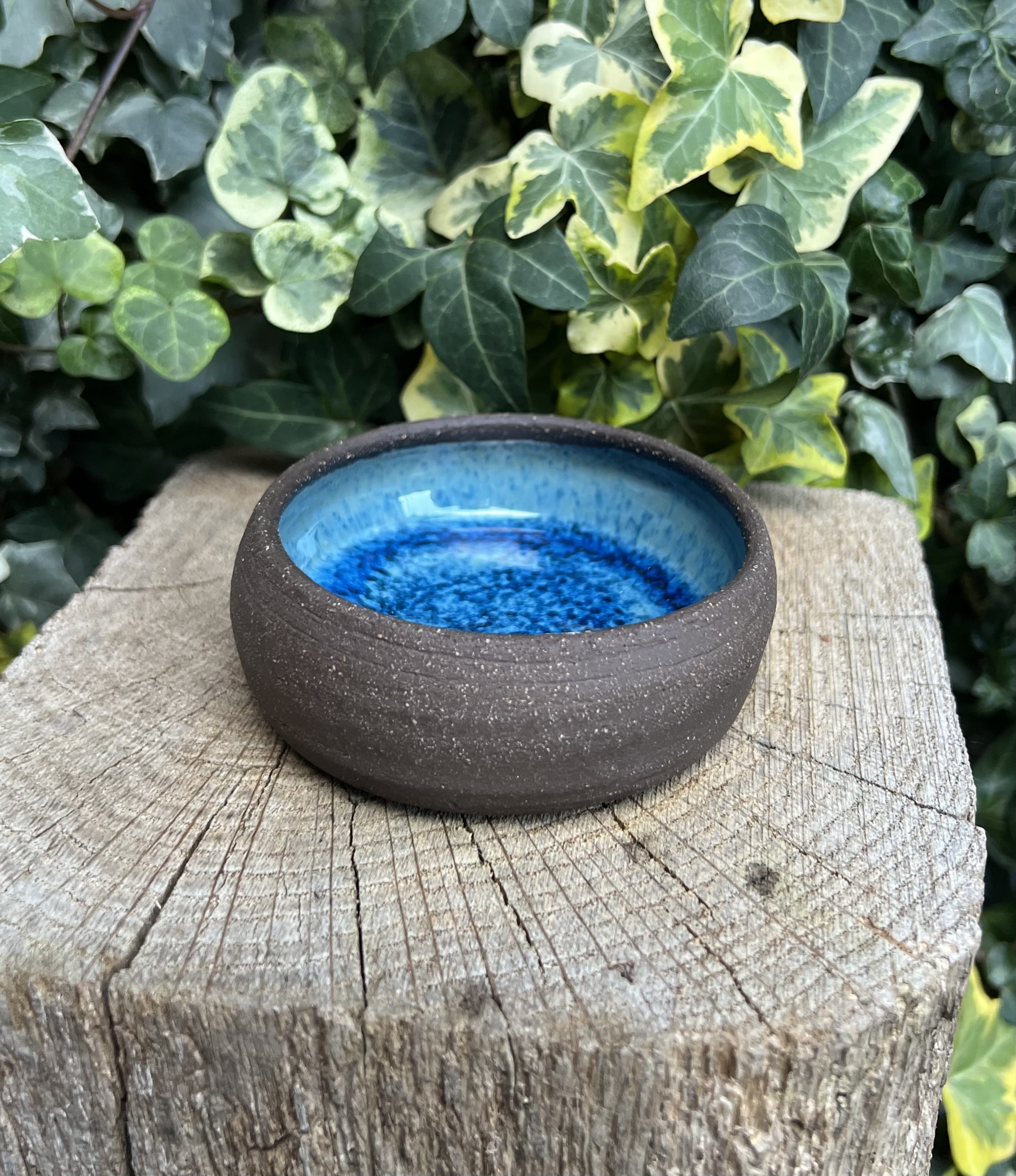 Petite coupelle ANTARCTIQUE 