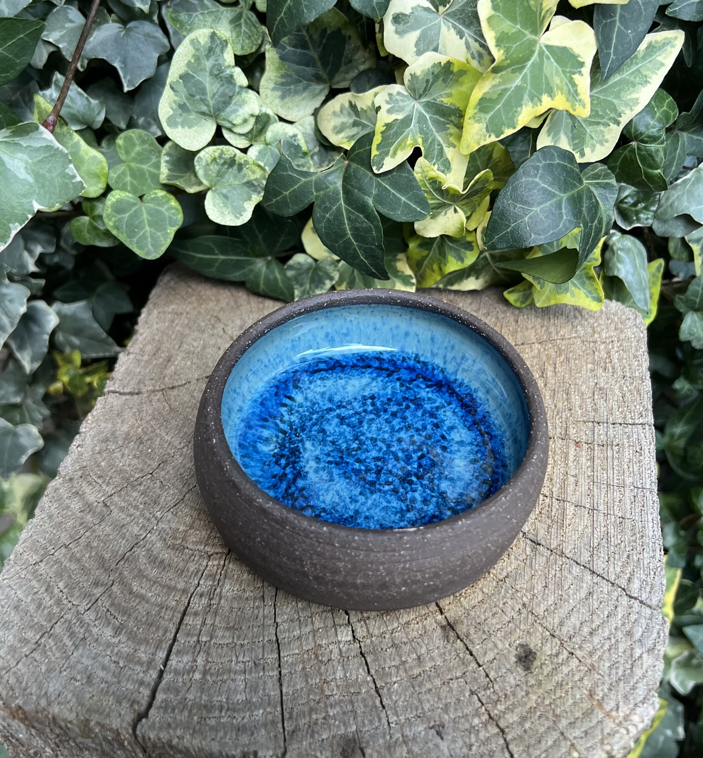 Petite coupelle ANTARCTIQUE 