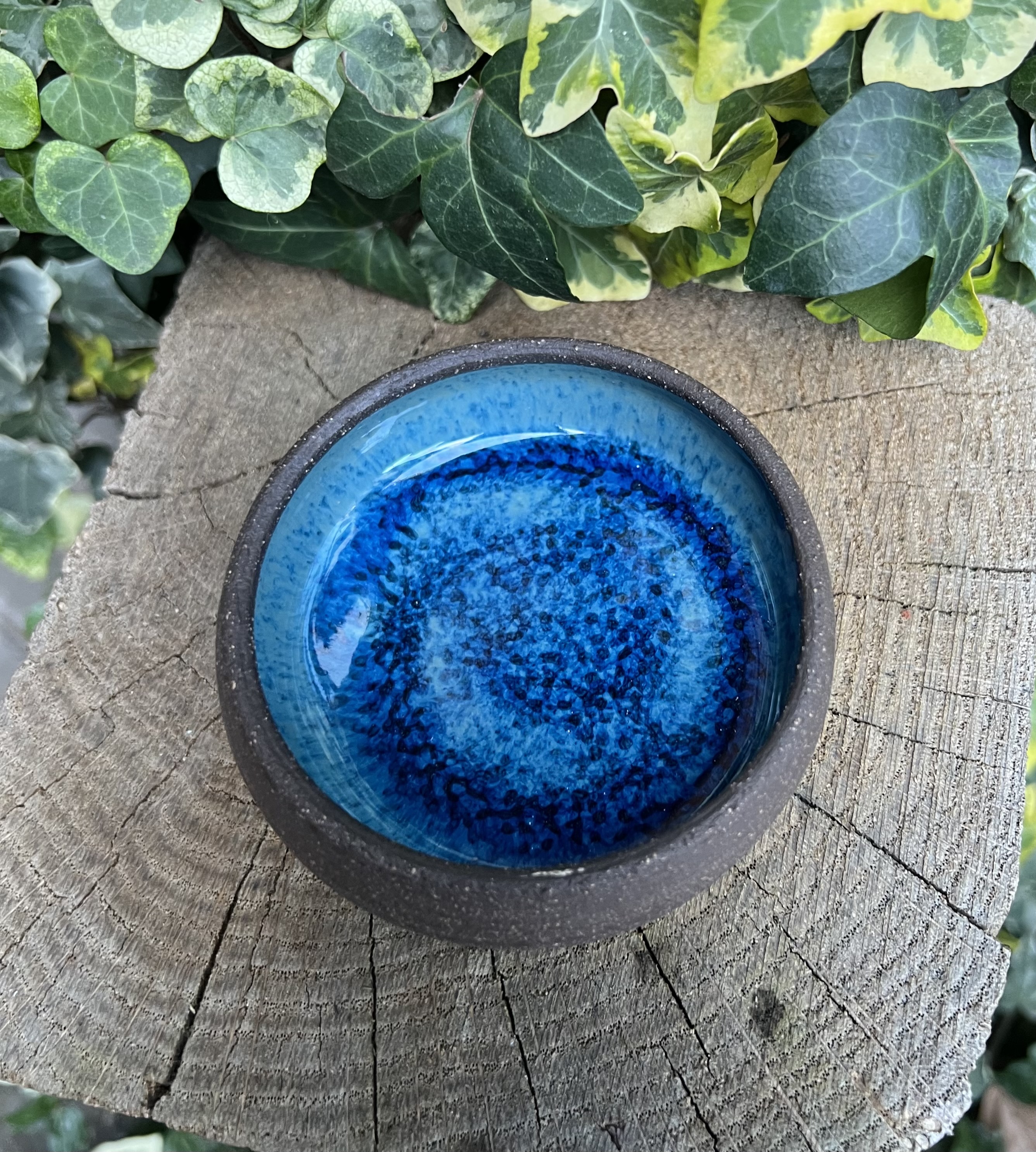 Petite coupelle ANTARCTIQUE 