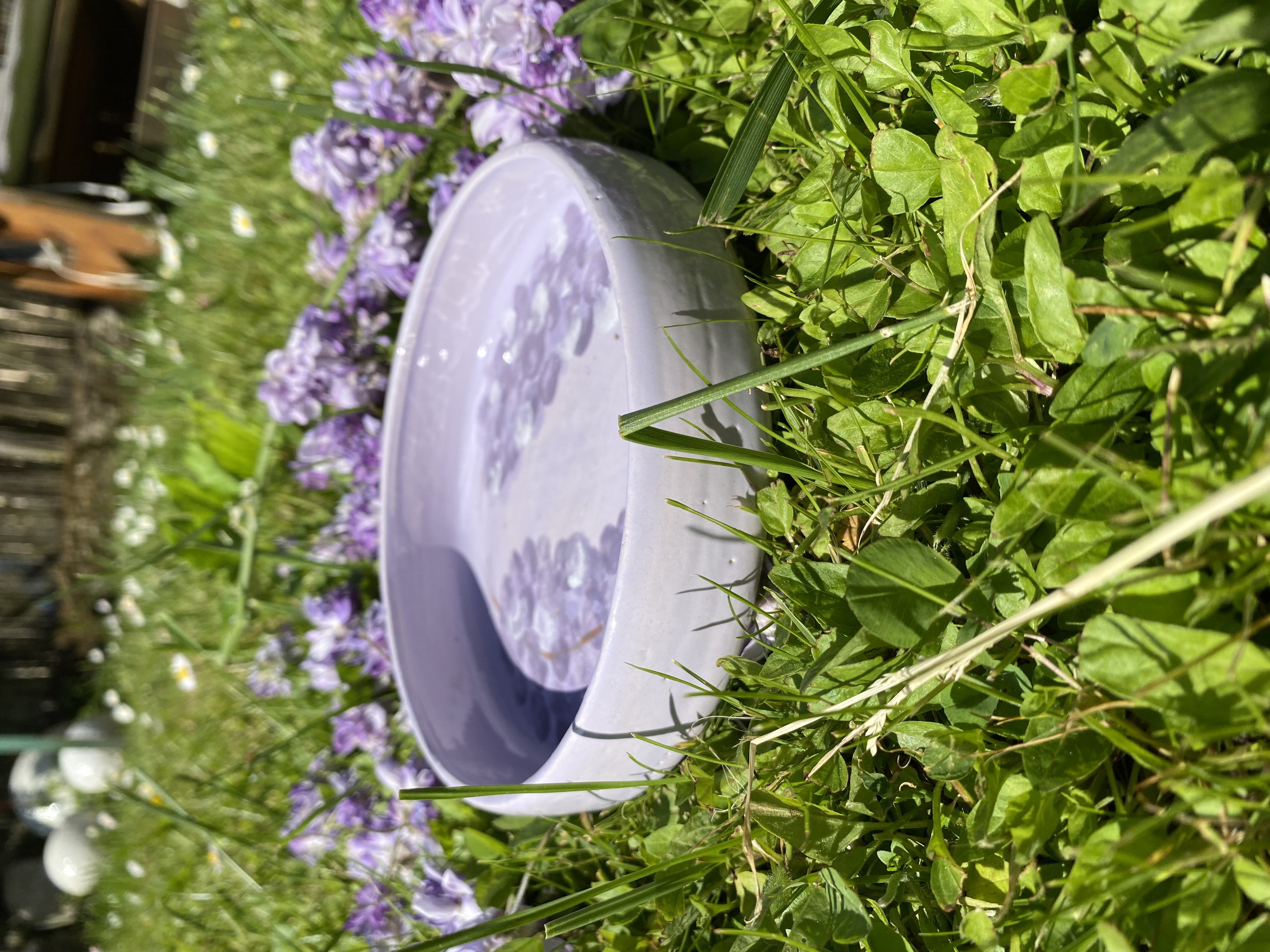 Assiette creuse GLYCINE 