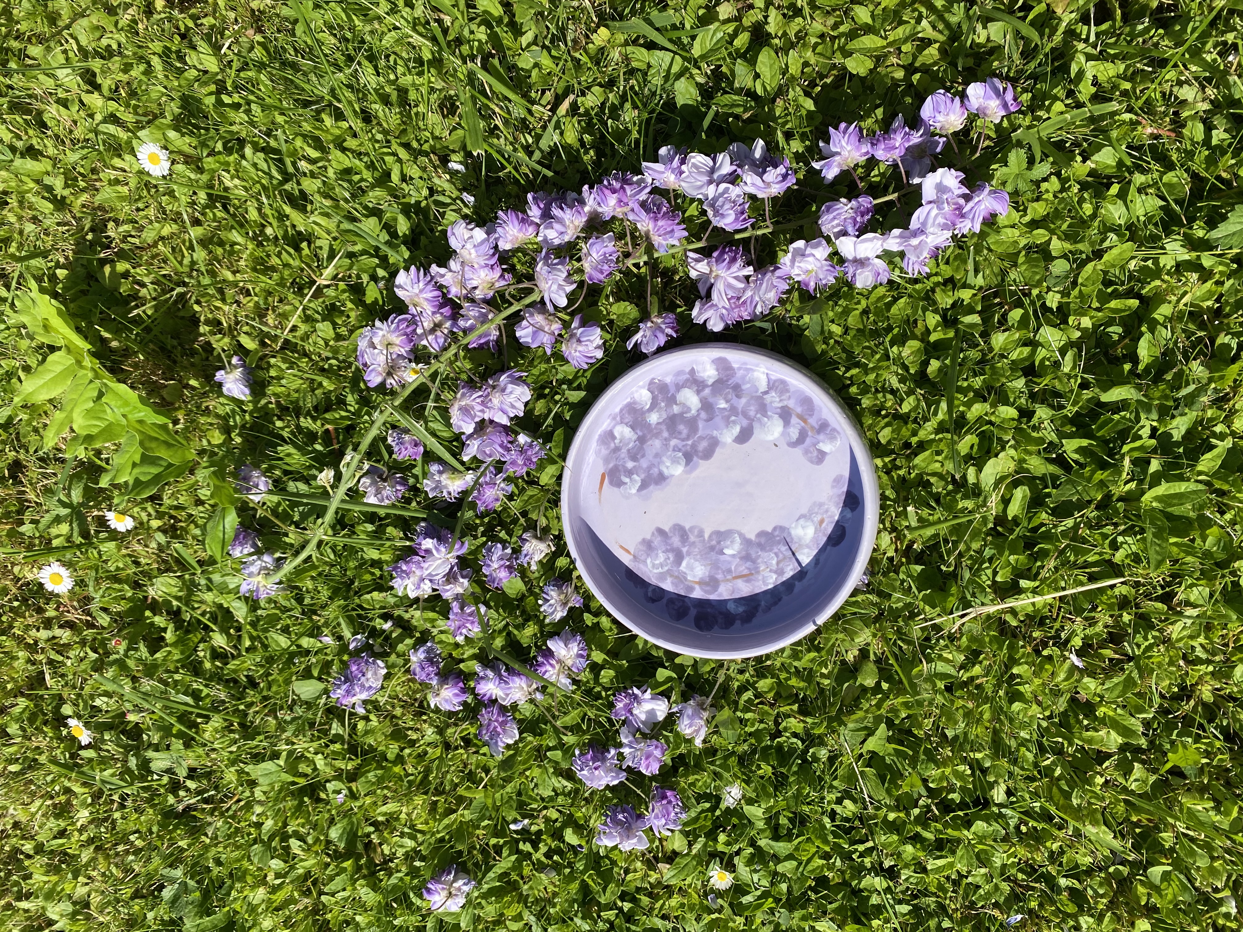 Assiette creuse GLYCINE 