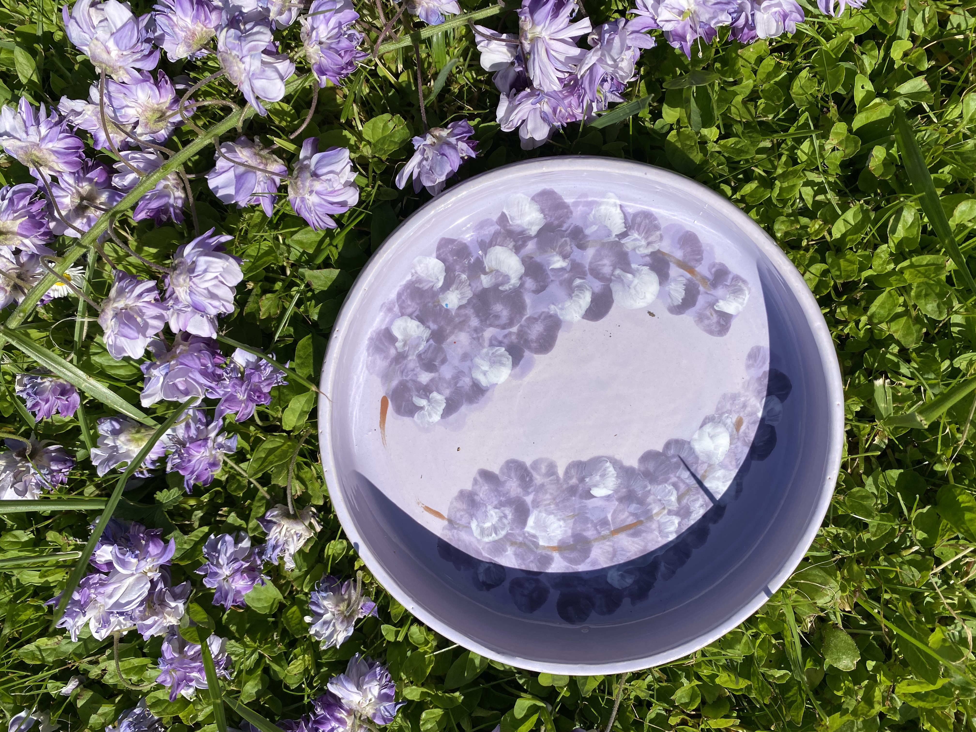 Assiette creuse GLYCINE 