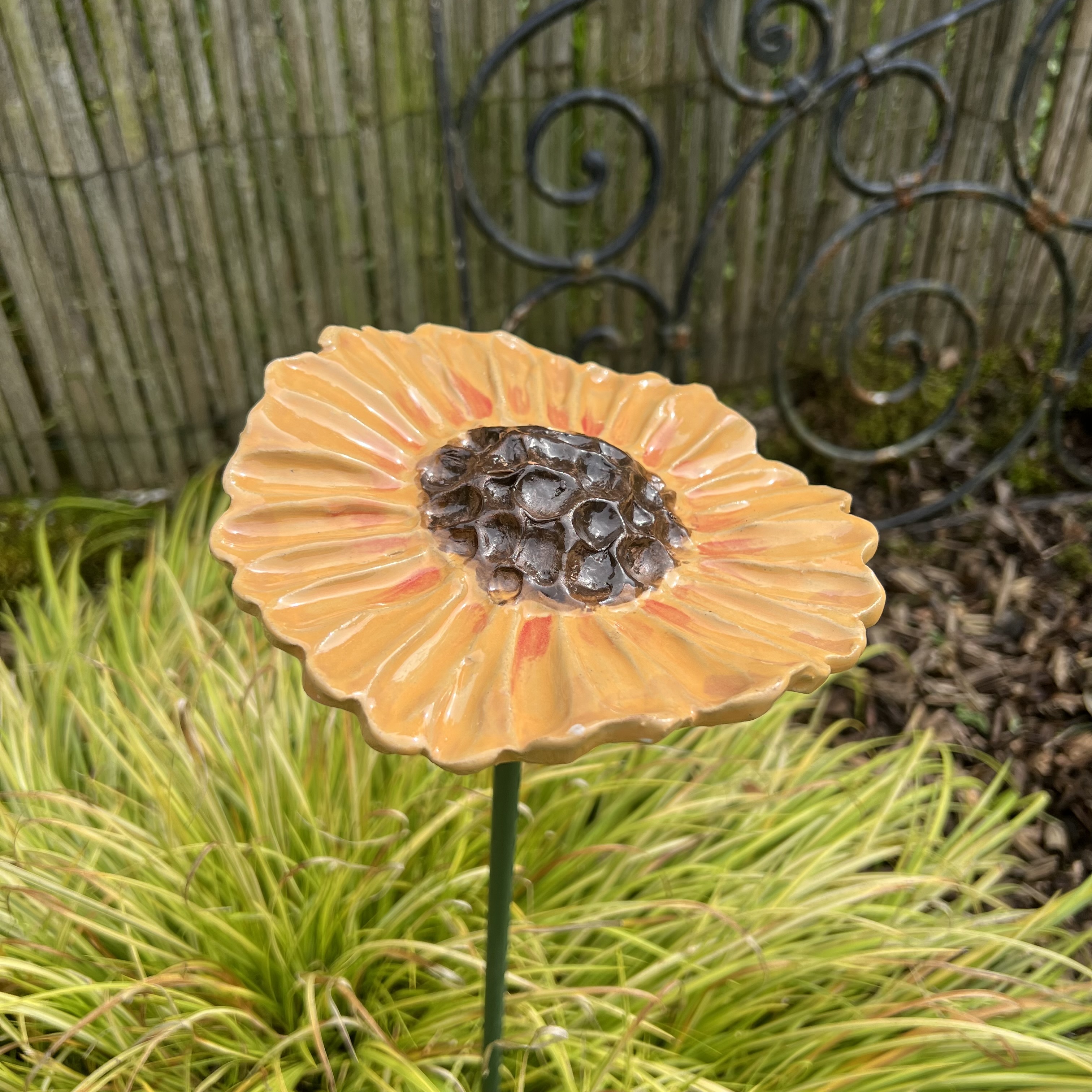 Fleur de jardin TOURNESOL