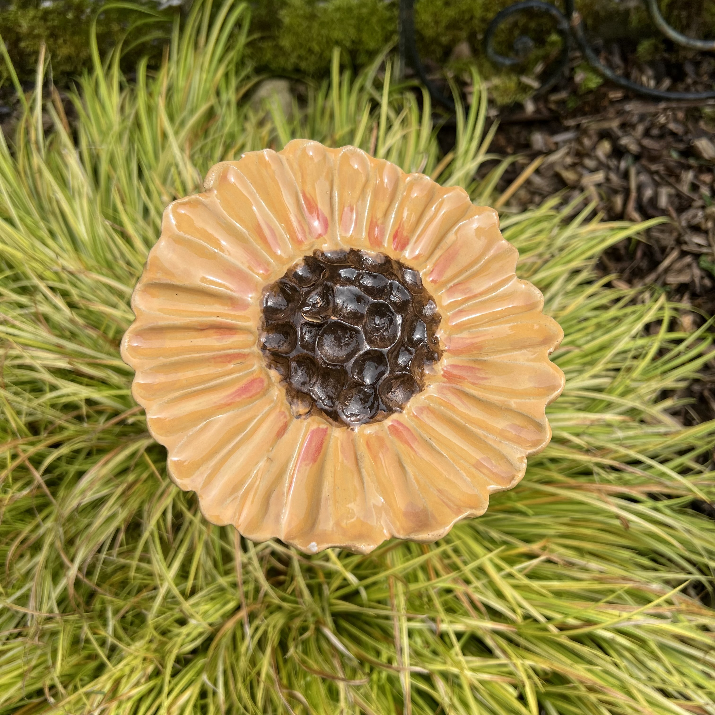 Fleur de jardin TOURNESOL