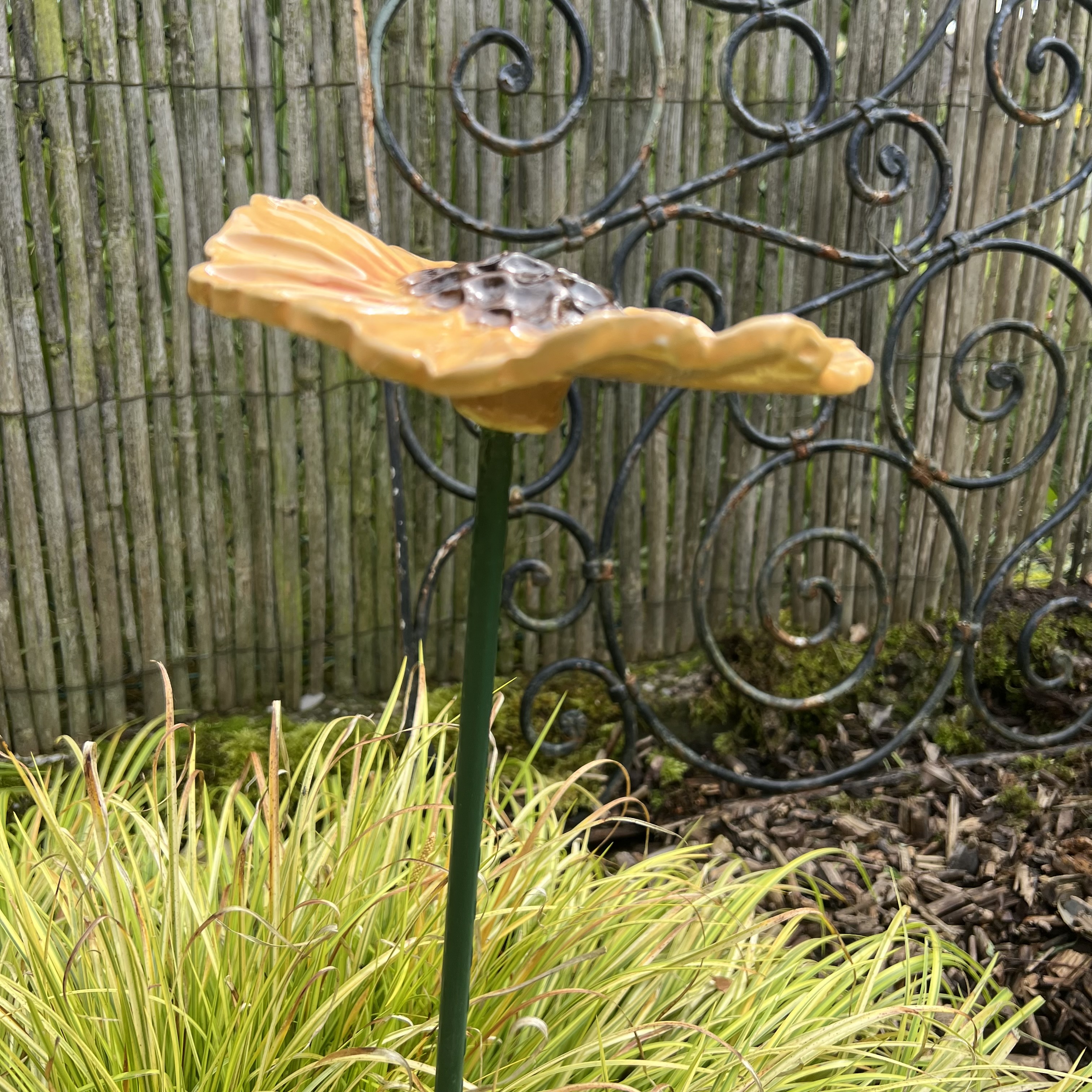 Fleur de jardin TOURNESOL