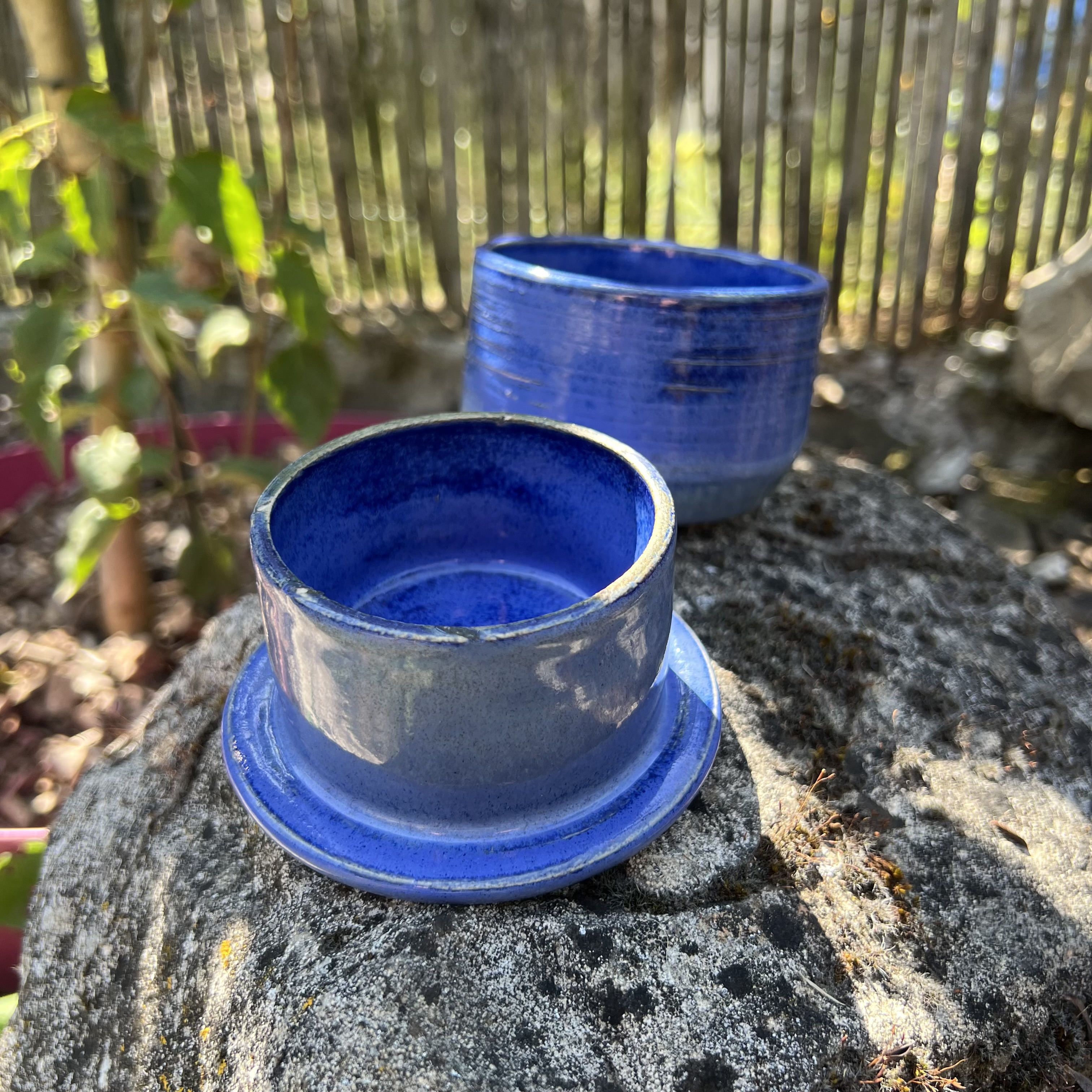 Beurrier à eau SHIZEN