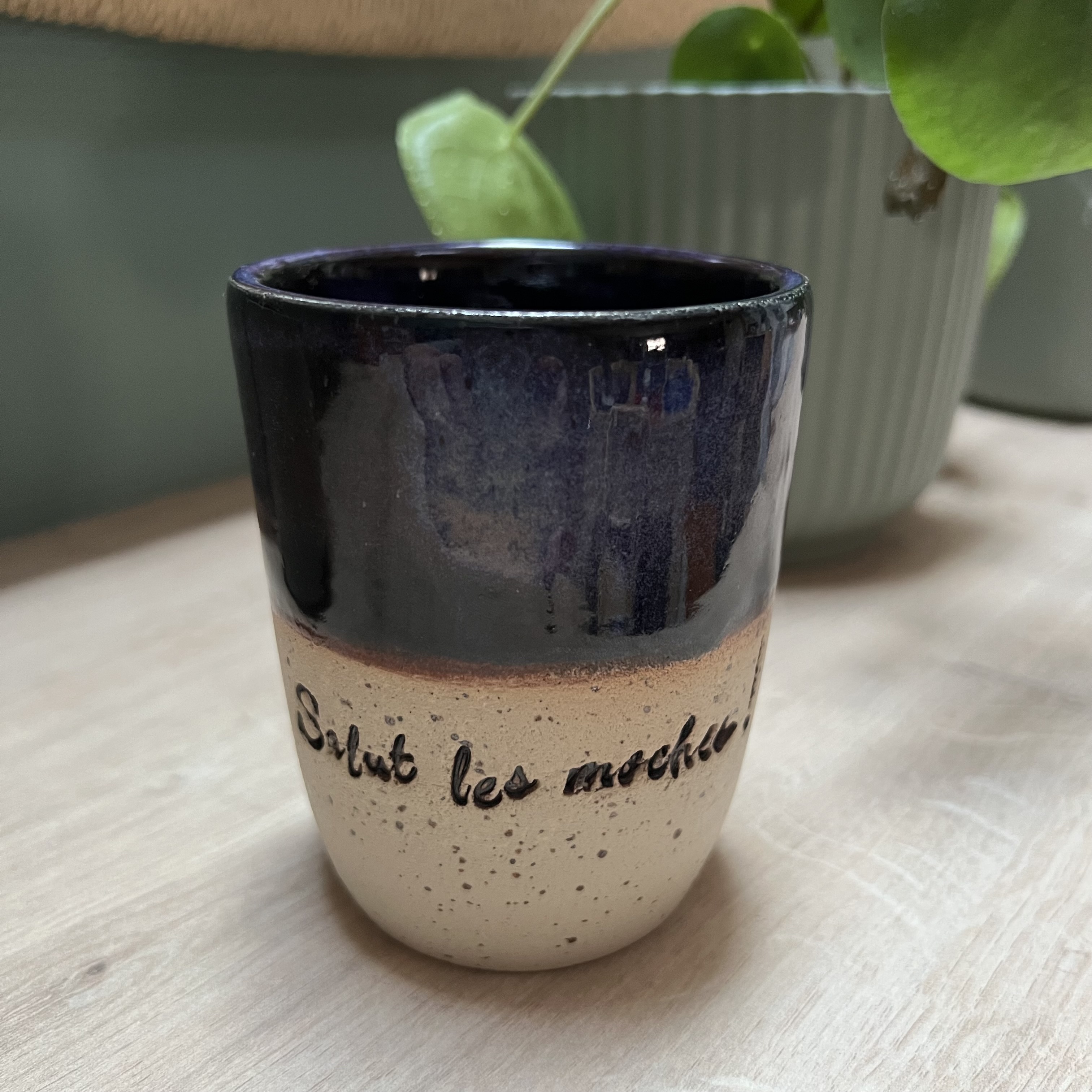 Tasse SALUT LES MOCHES !