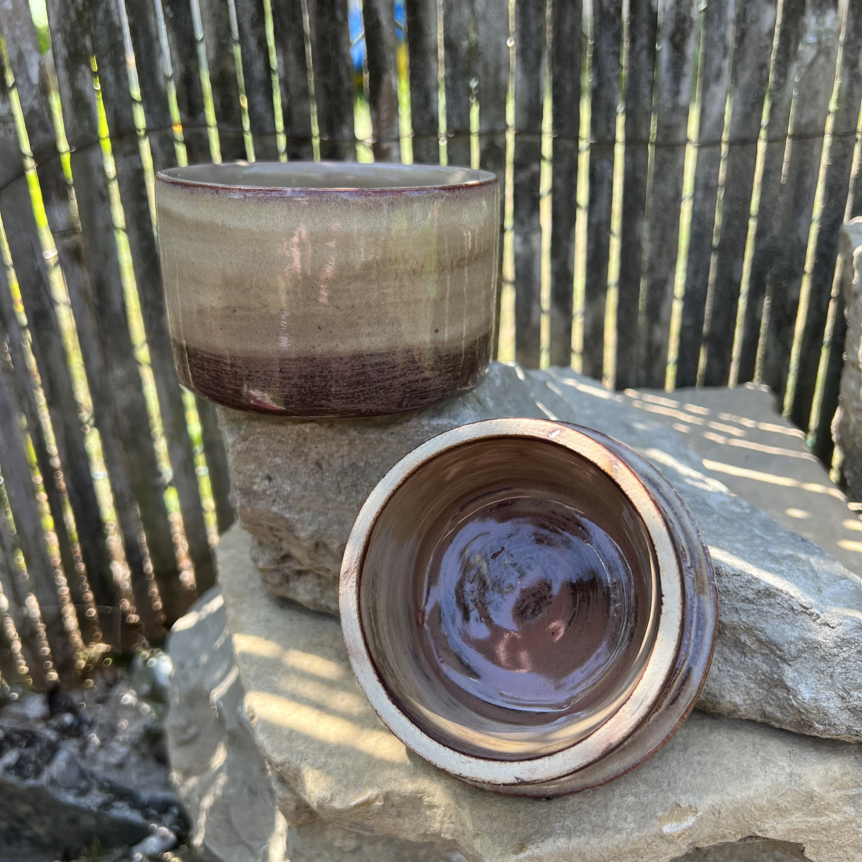 Beurrier à eau PRUNE