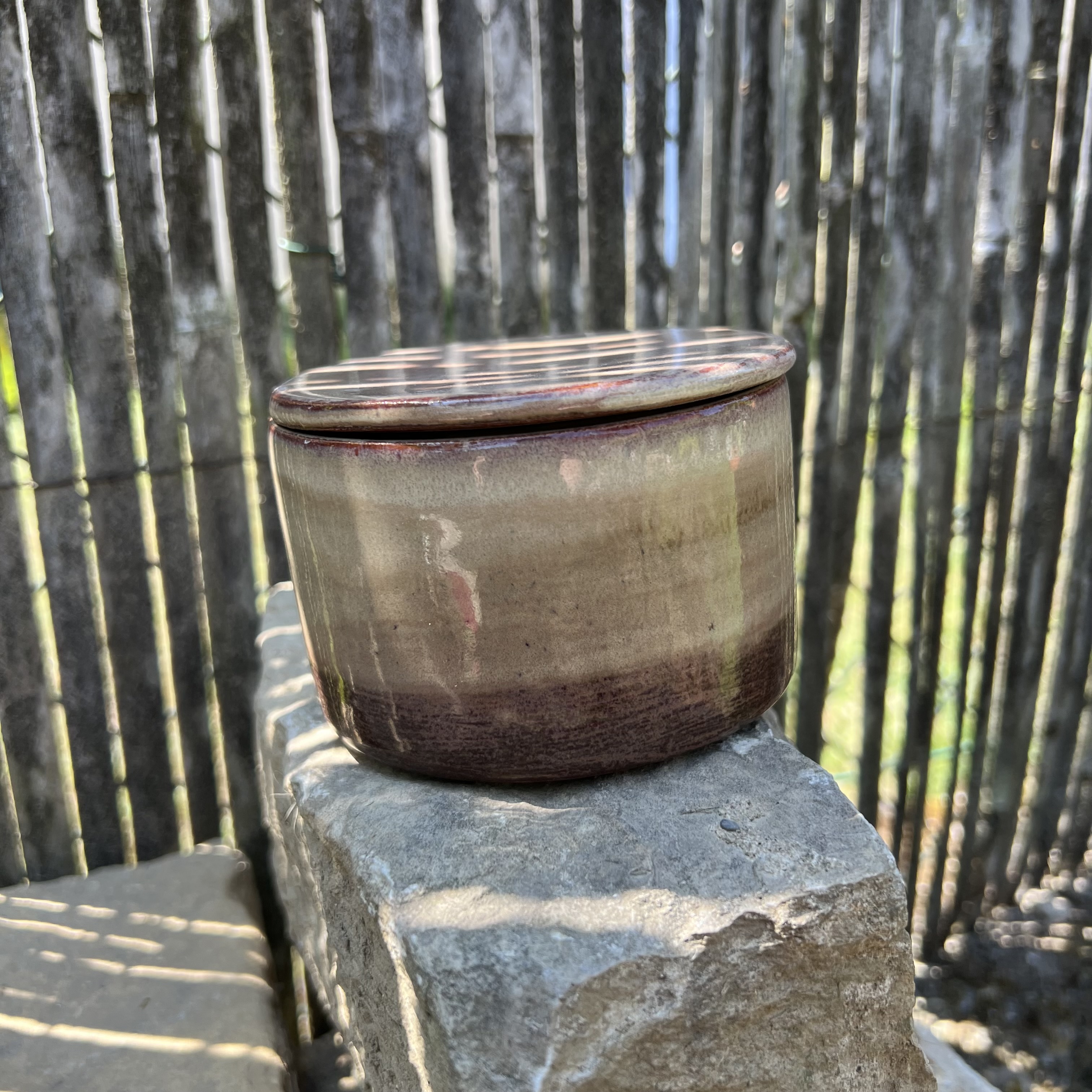 Beurrier à eau PRUNE