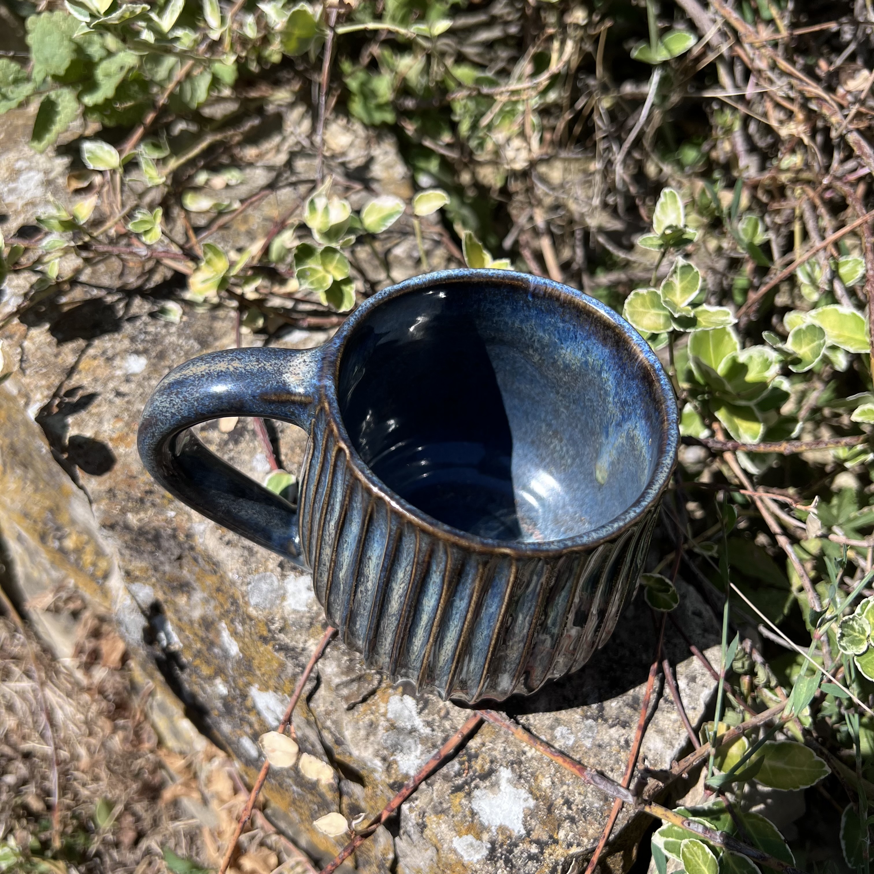 Tasse FJORD