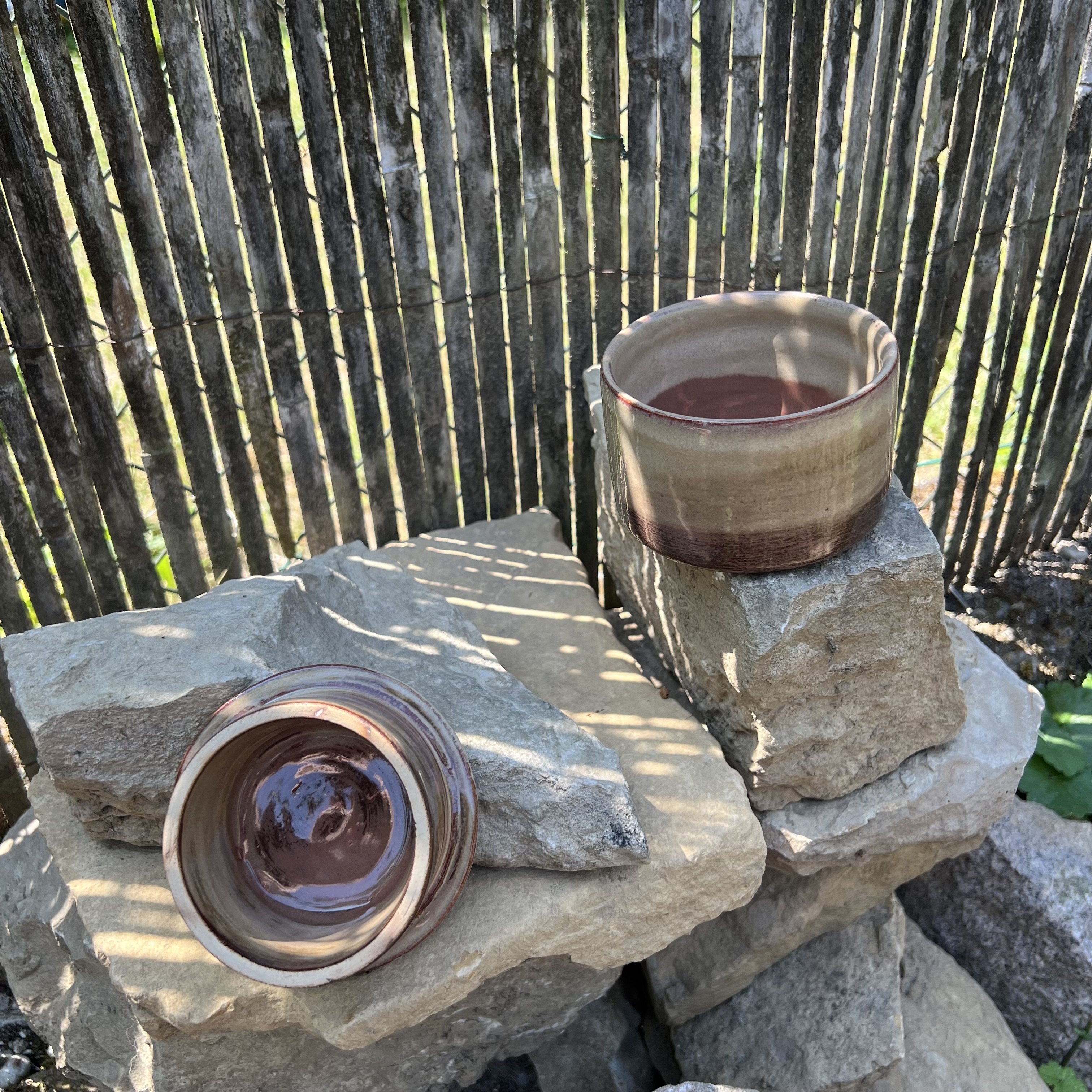 Beurrier à eau PRUNE