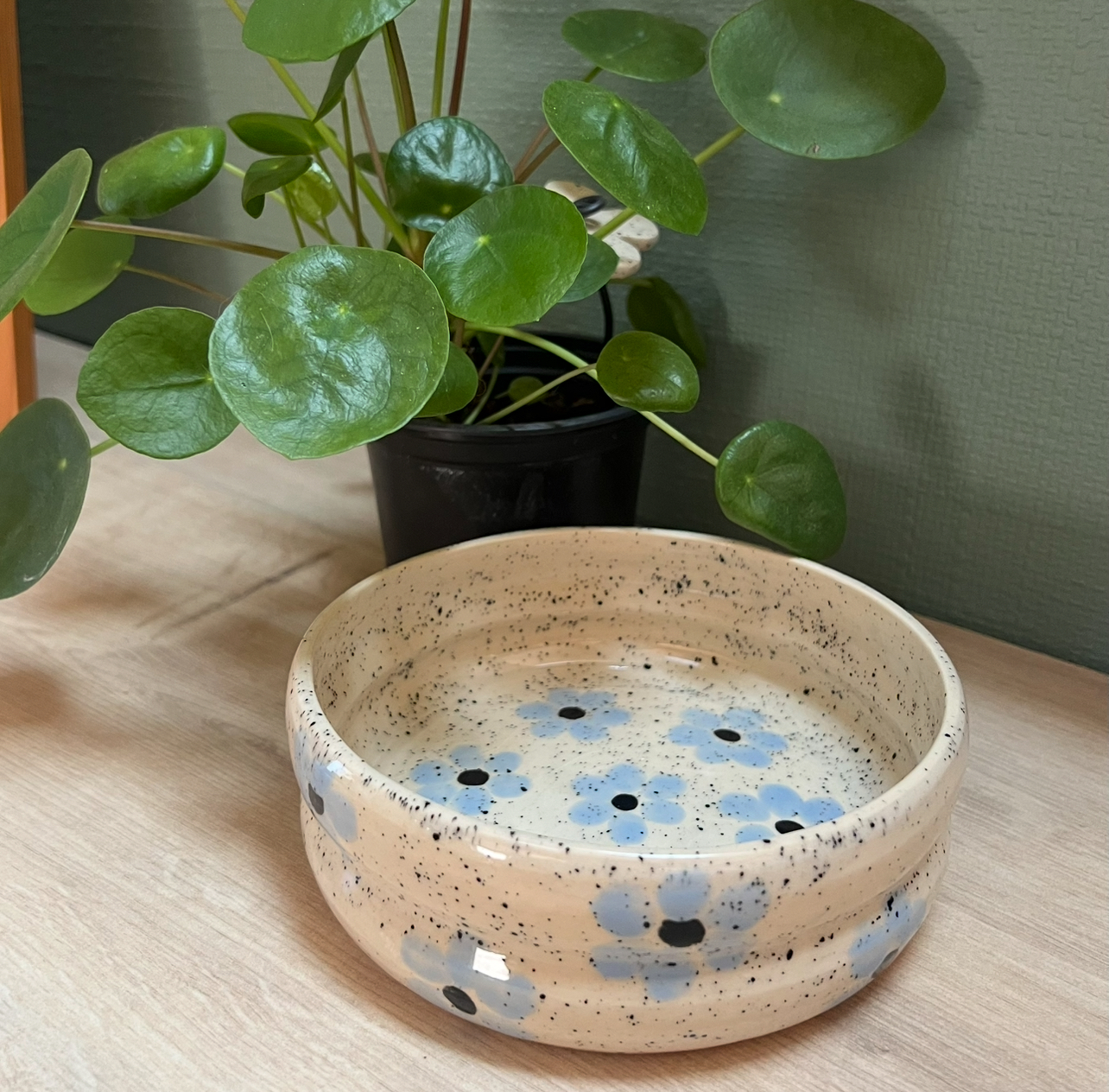 Assiette creuse VOLUBIS