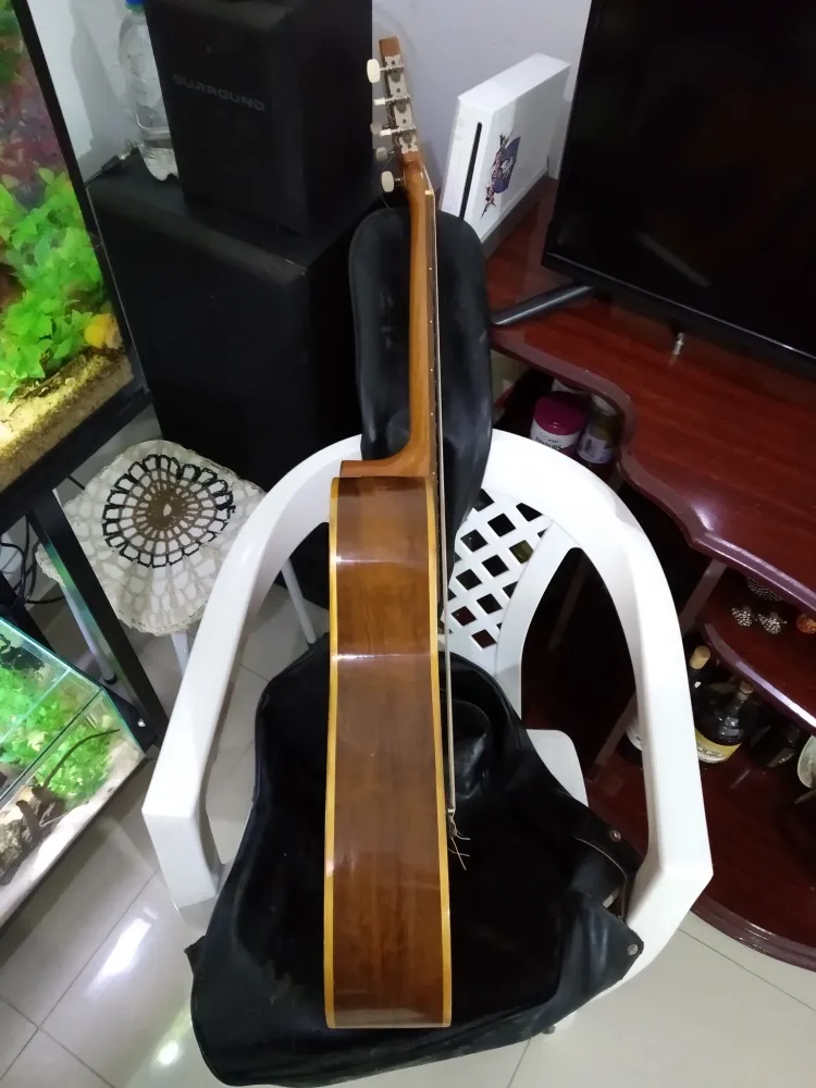 Violão Giannini Tranquillo Antigo Awn31 1977