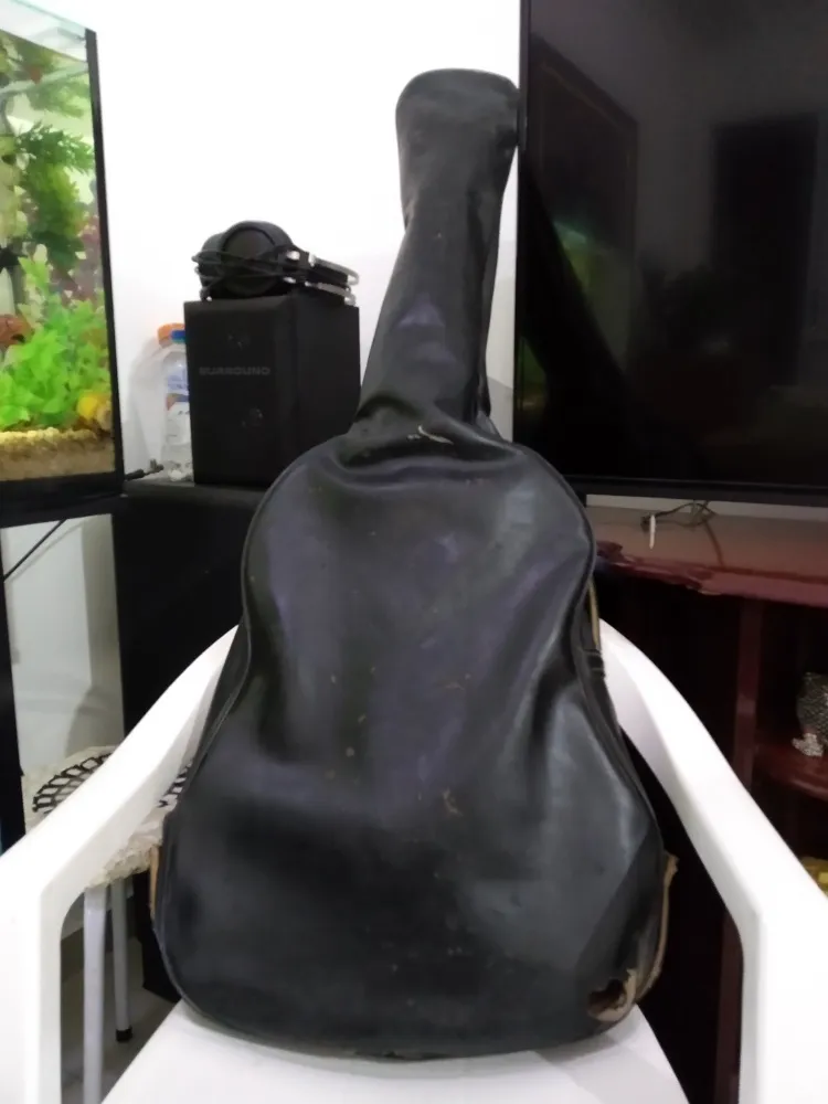 Violão Giannini Tranquillo Antigo Awn31 1977