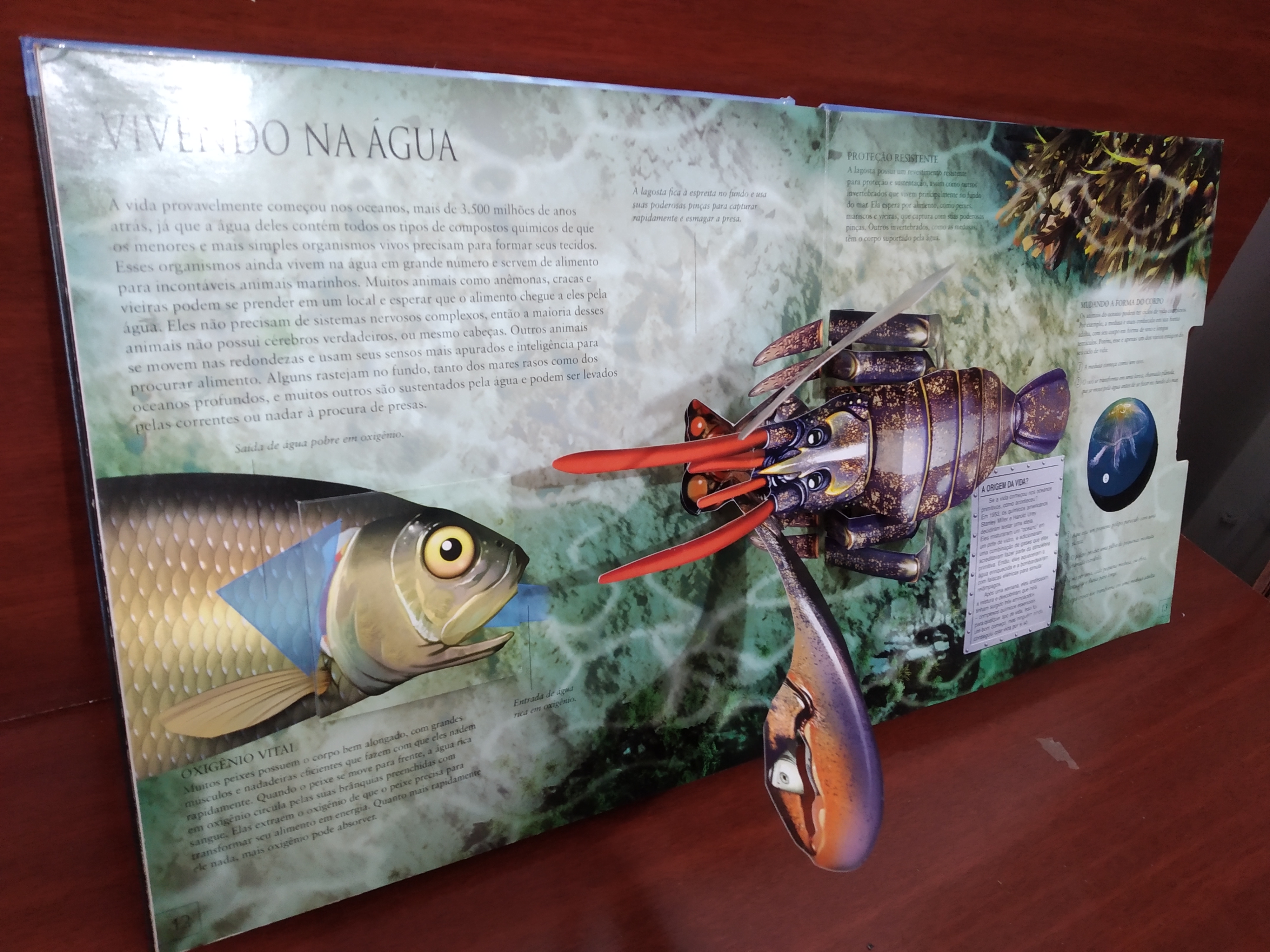 Livro interativo Criatura das profundezas