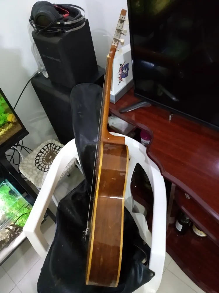 Violão Giannini Tranquillo Antigo Awn31 1977