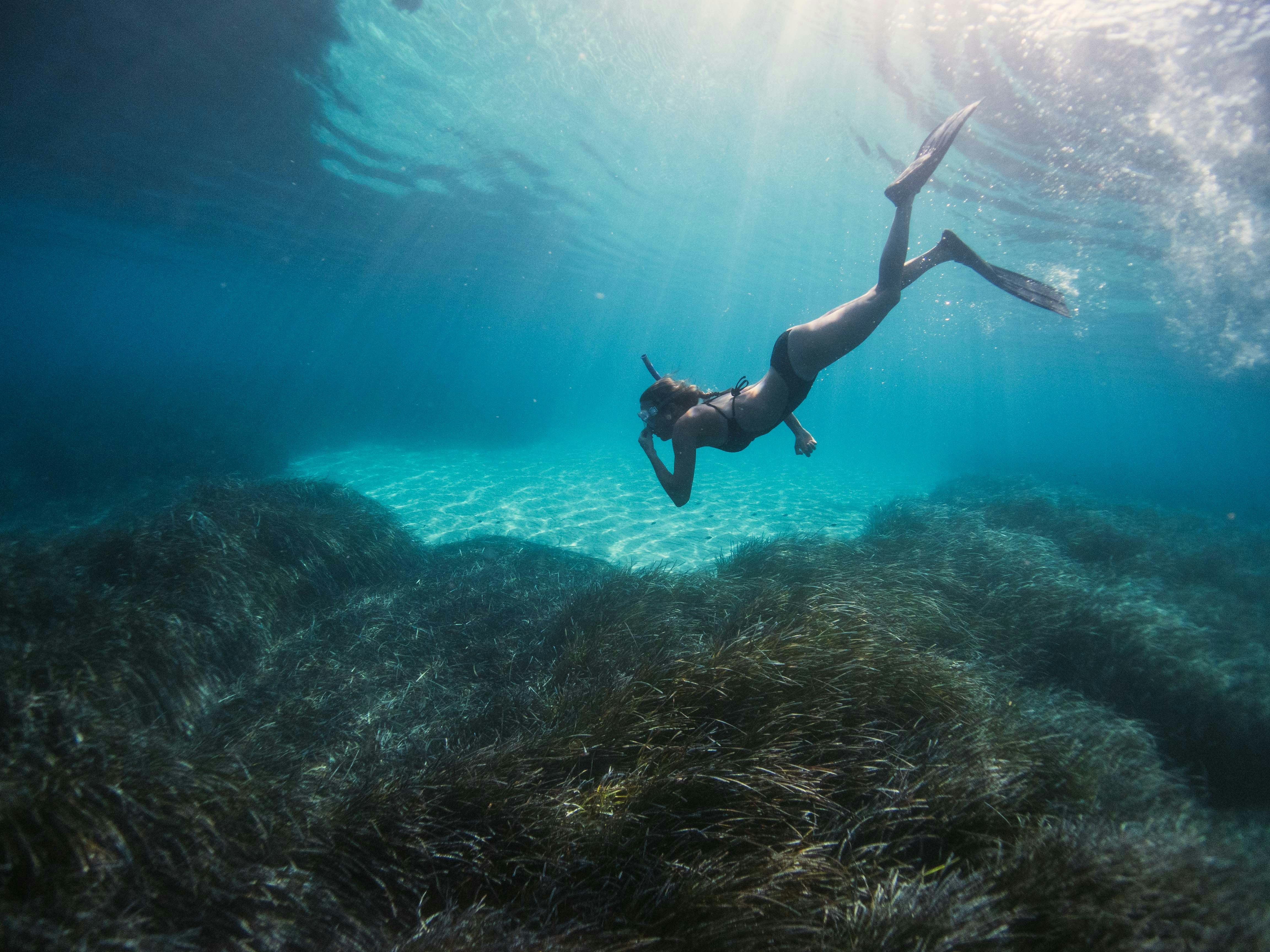 Bali October $500 Deposit