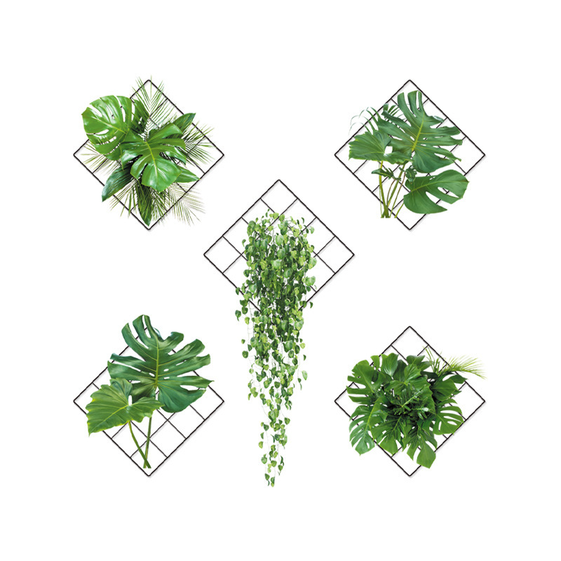green plant hanging basket small fresh plant frame home wall room living room wallpaper decoration painting