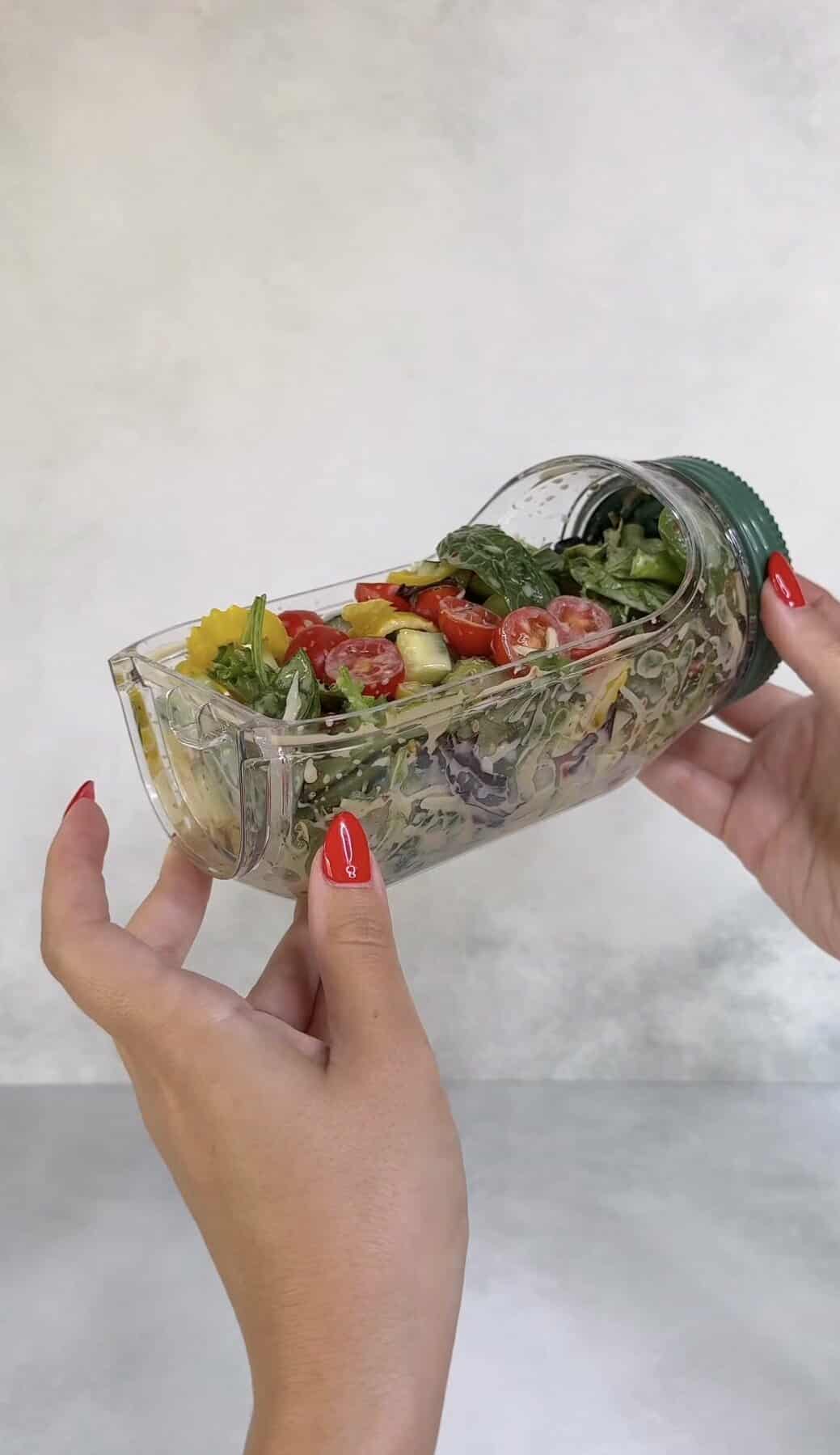 Portable Salad Lunch Container