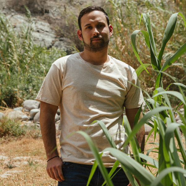 Camiseta Hombre - Wild honey