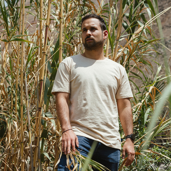 Camiseta Hombre - Wild honey