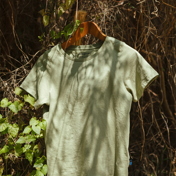Camiseta - Moss green
