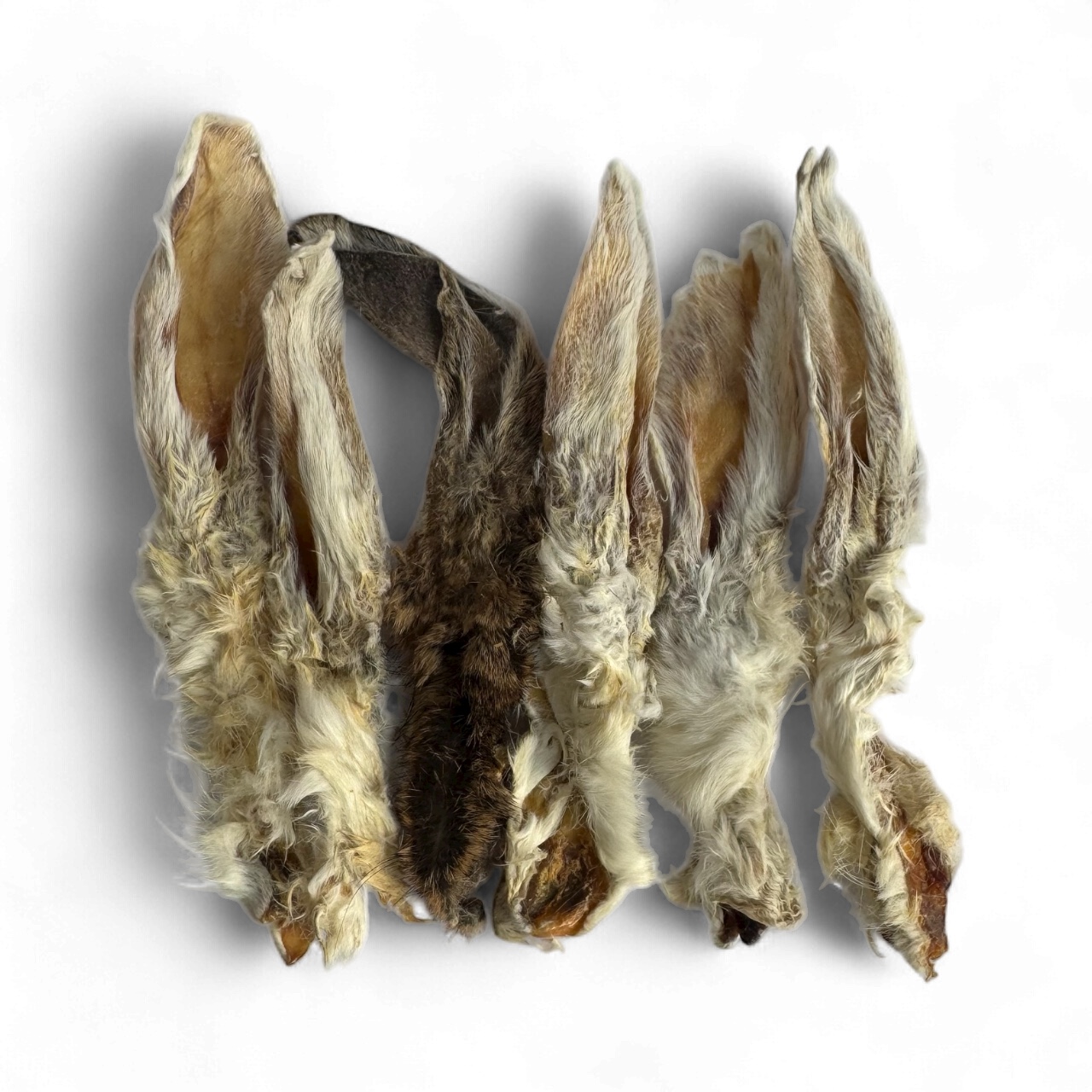 Oreja de conejo