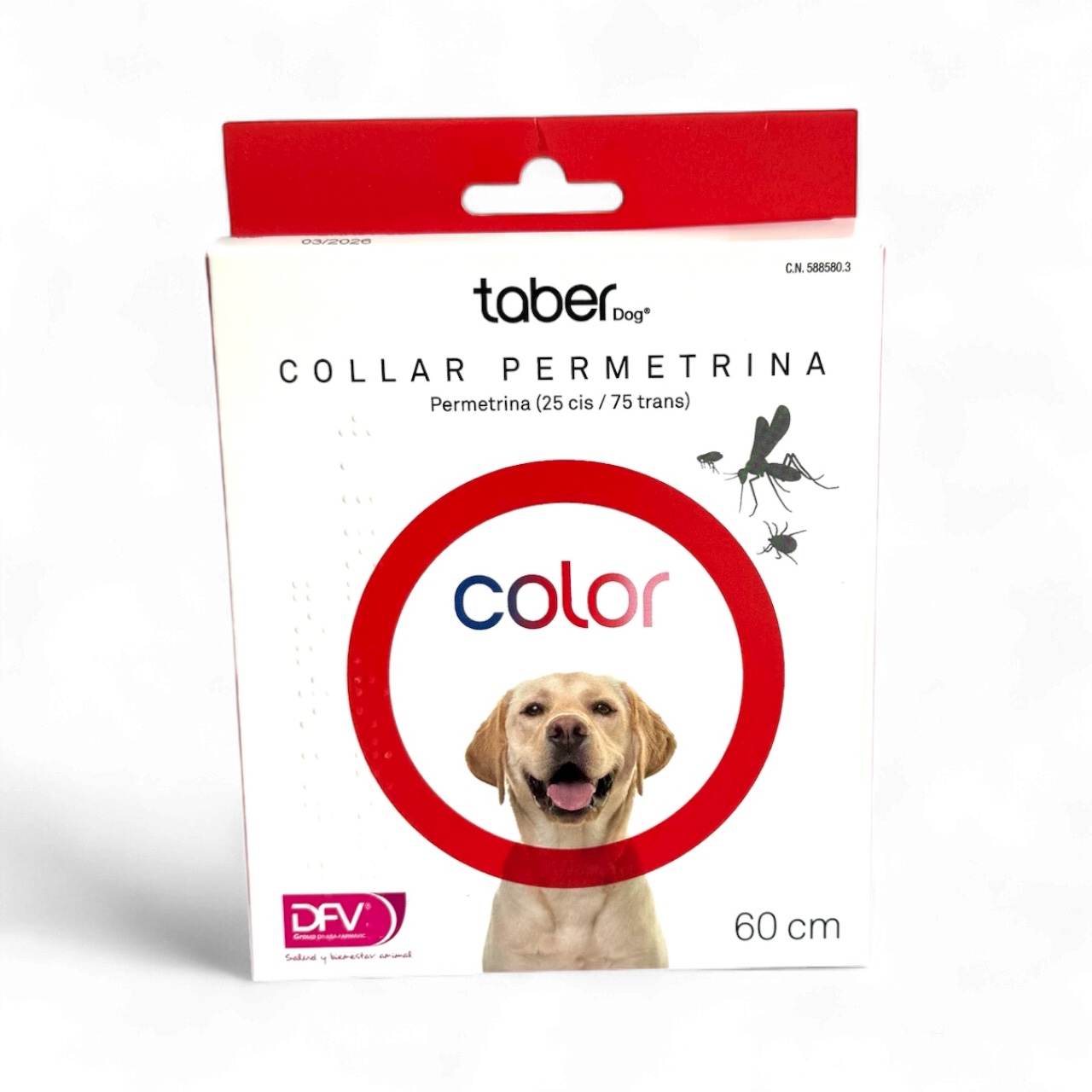 Taber Rojo 60cm